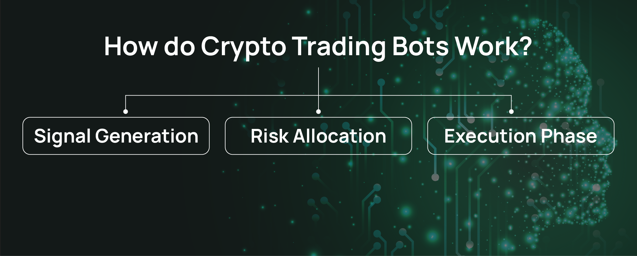 How Do Crypto Trading Bots Work?