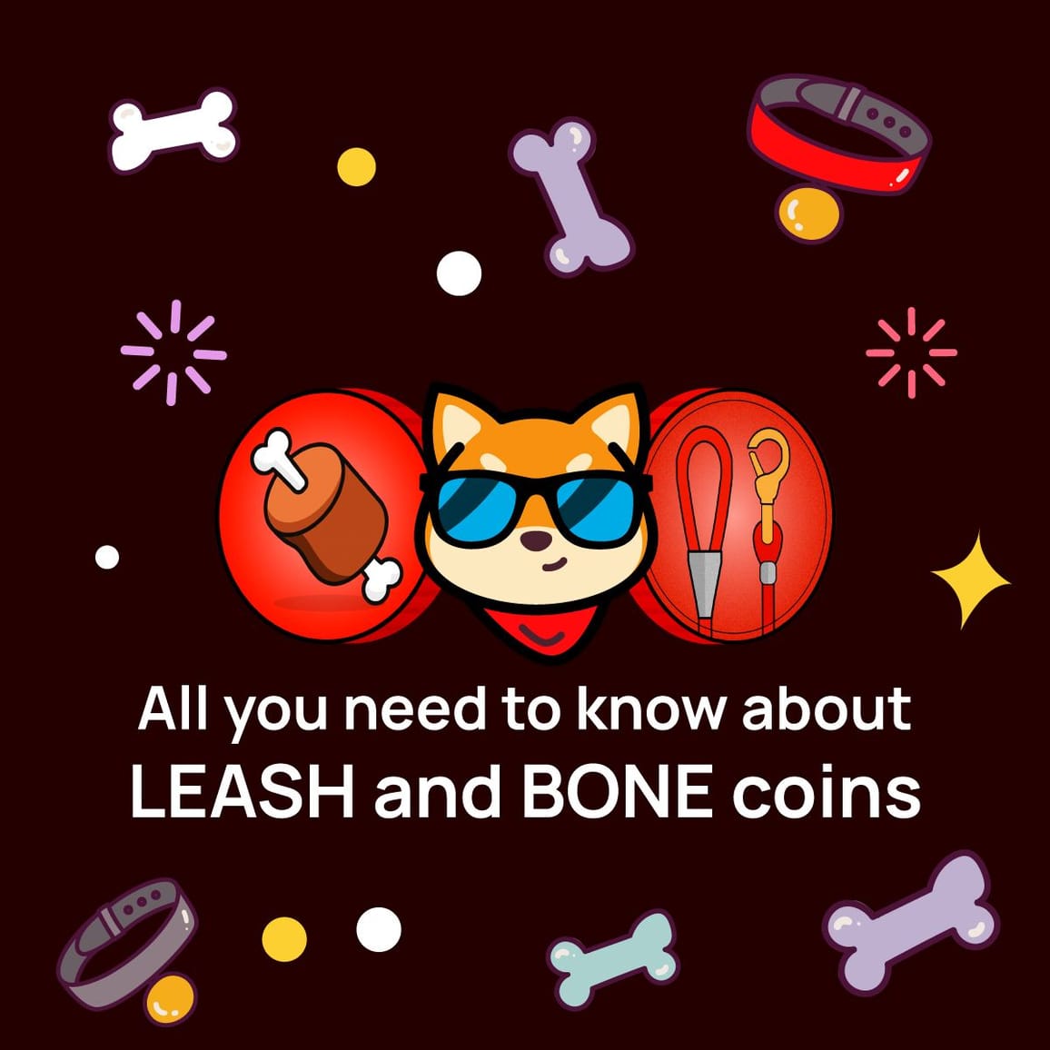 All you need to know about LEASH and BONE coins