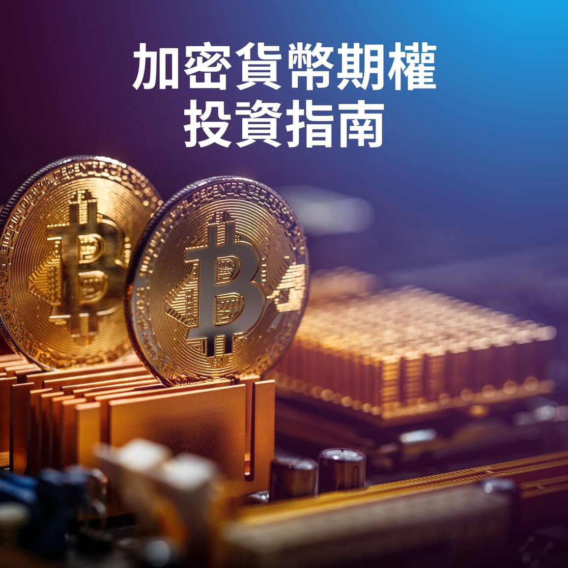 加密貨幣期權投資指南