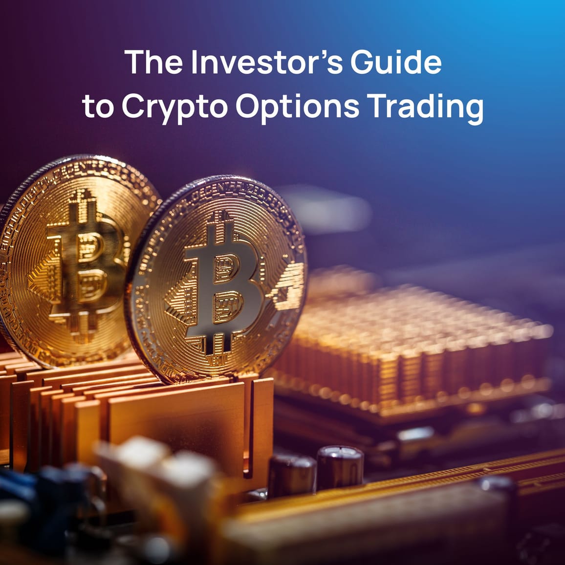 The Investor’s Guide to Crypto Options Trading
