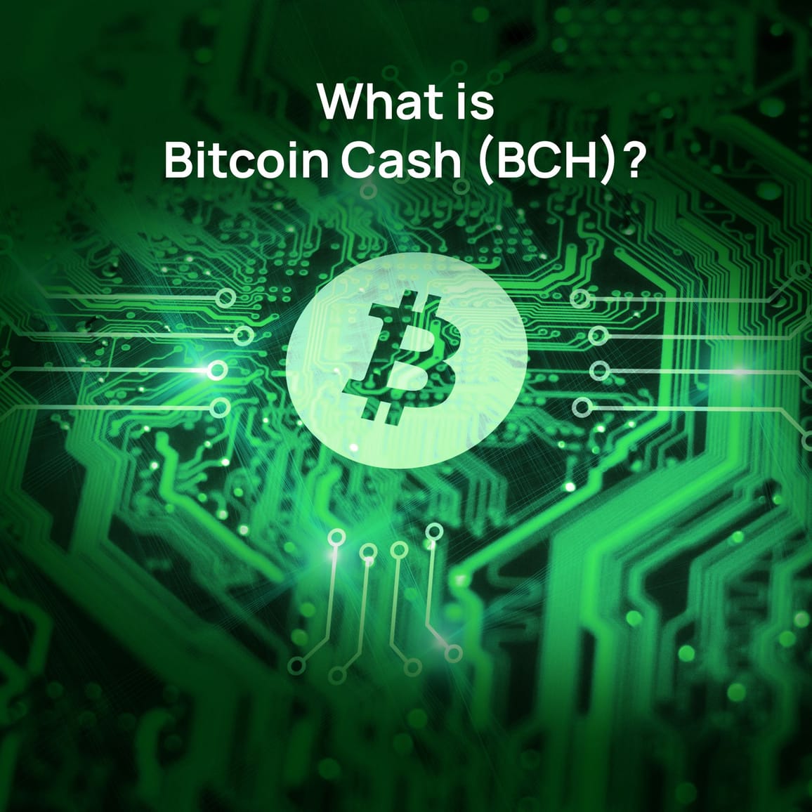 Switch on to Plain Talk: What is Bitcoin Cash (BCH)?