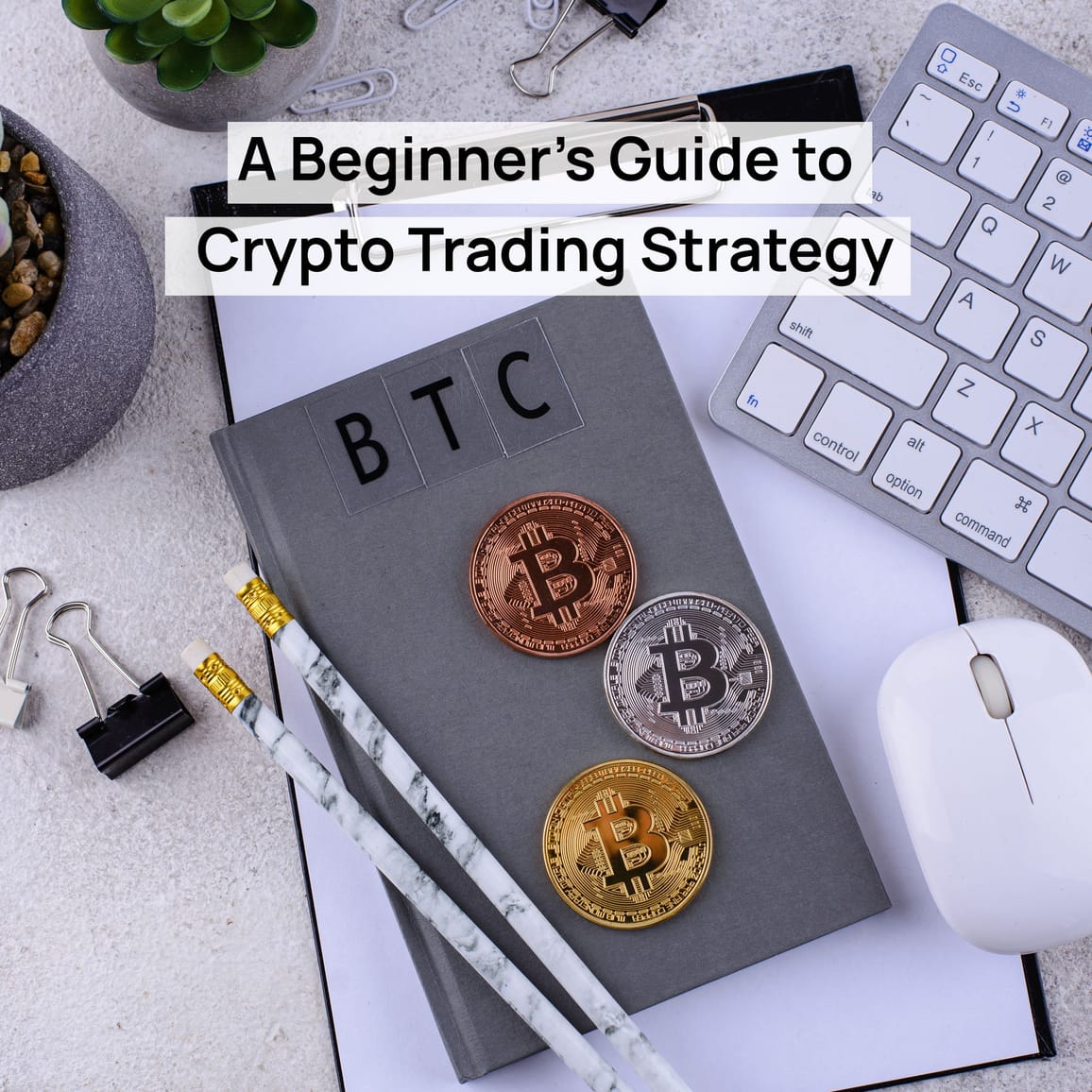 A Beginner’s Guide to Crypto Trading Strategy