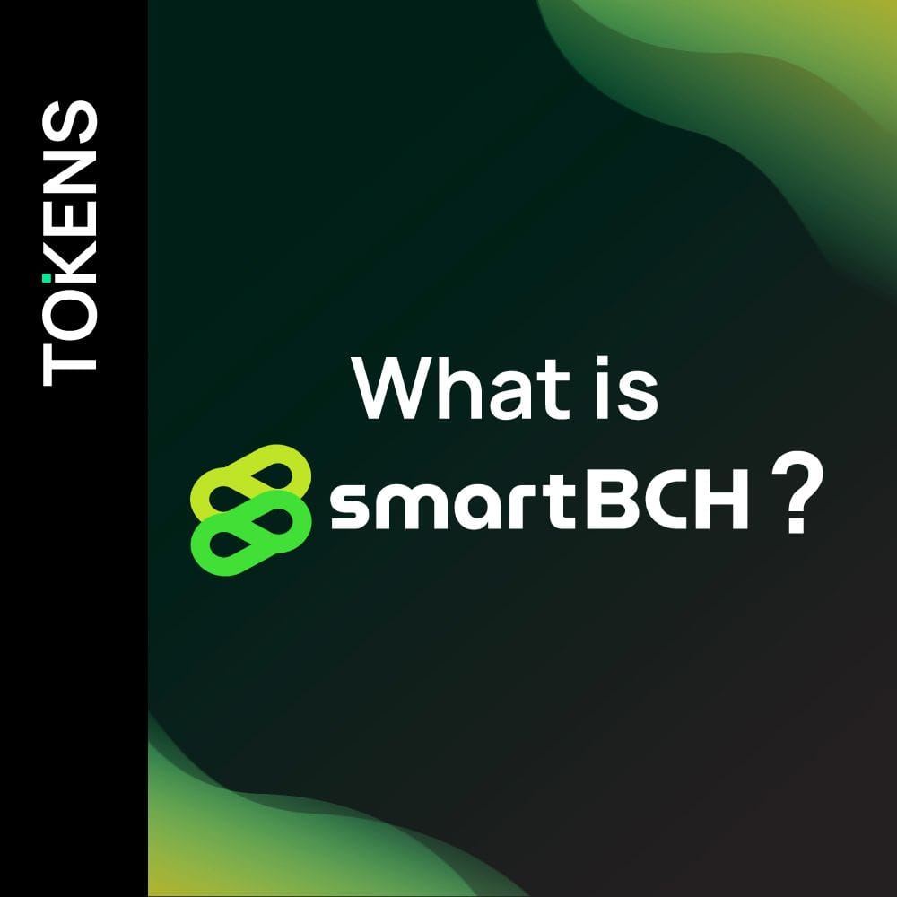 What is SmartBCH?