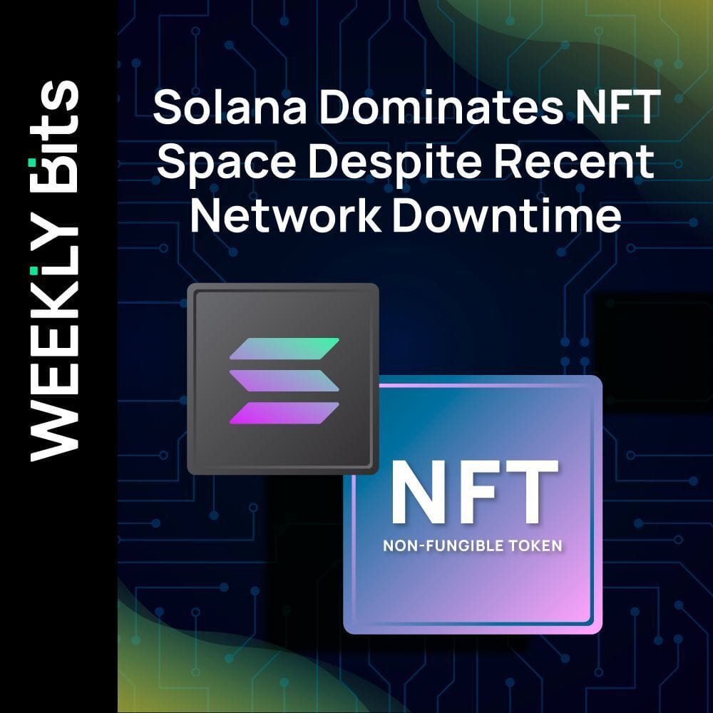 Solana Dominates NFT Space Despite Recent Network Downtime