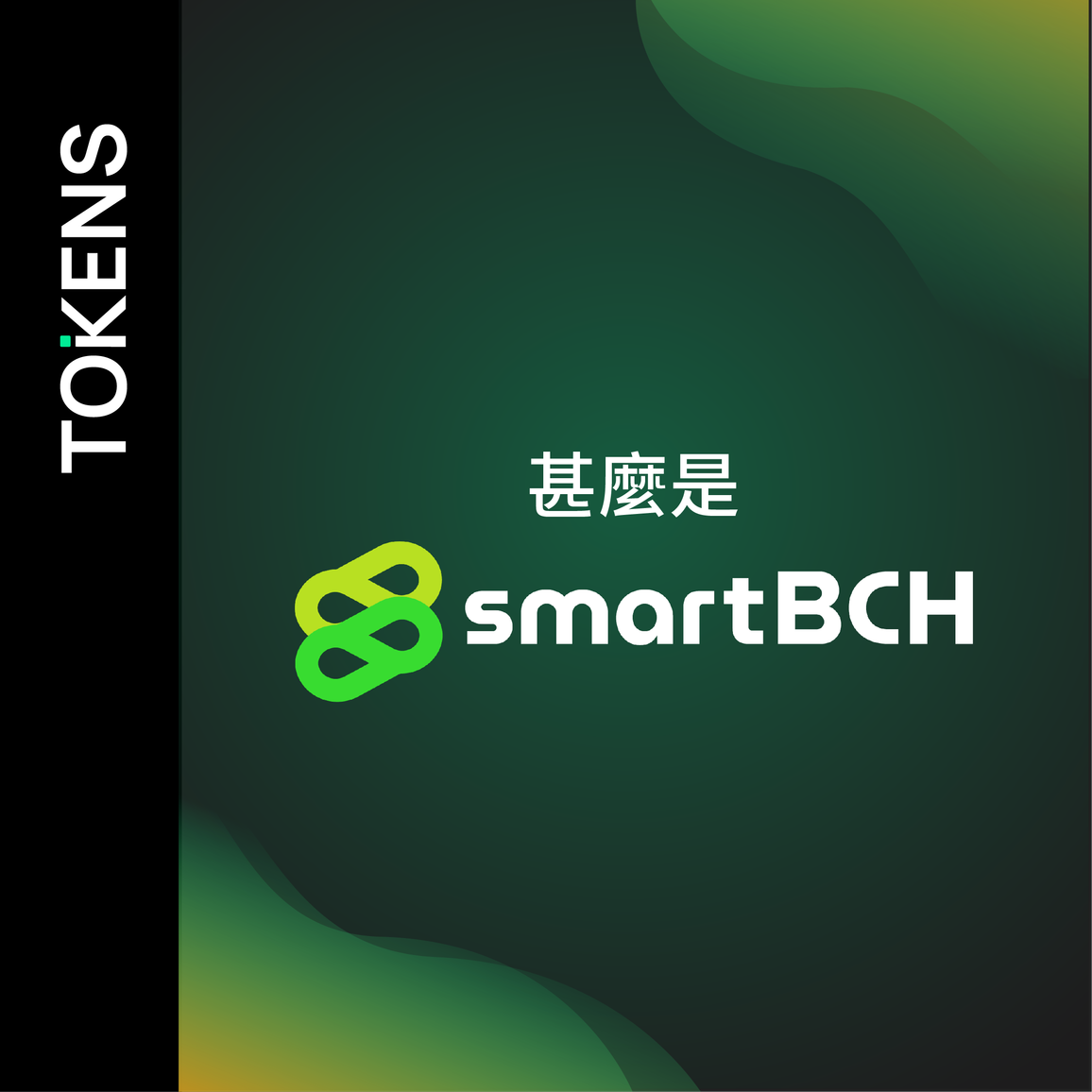 甚麼是 SmartBCH？