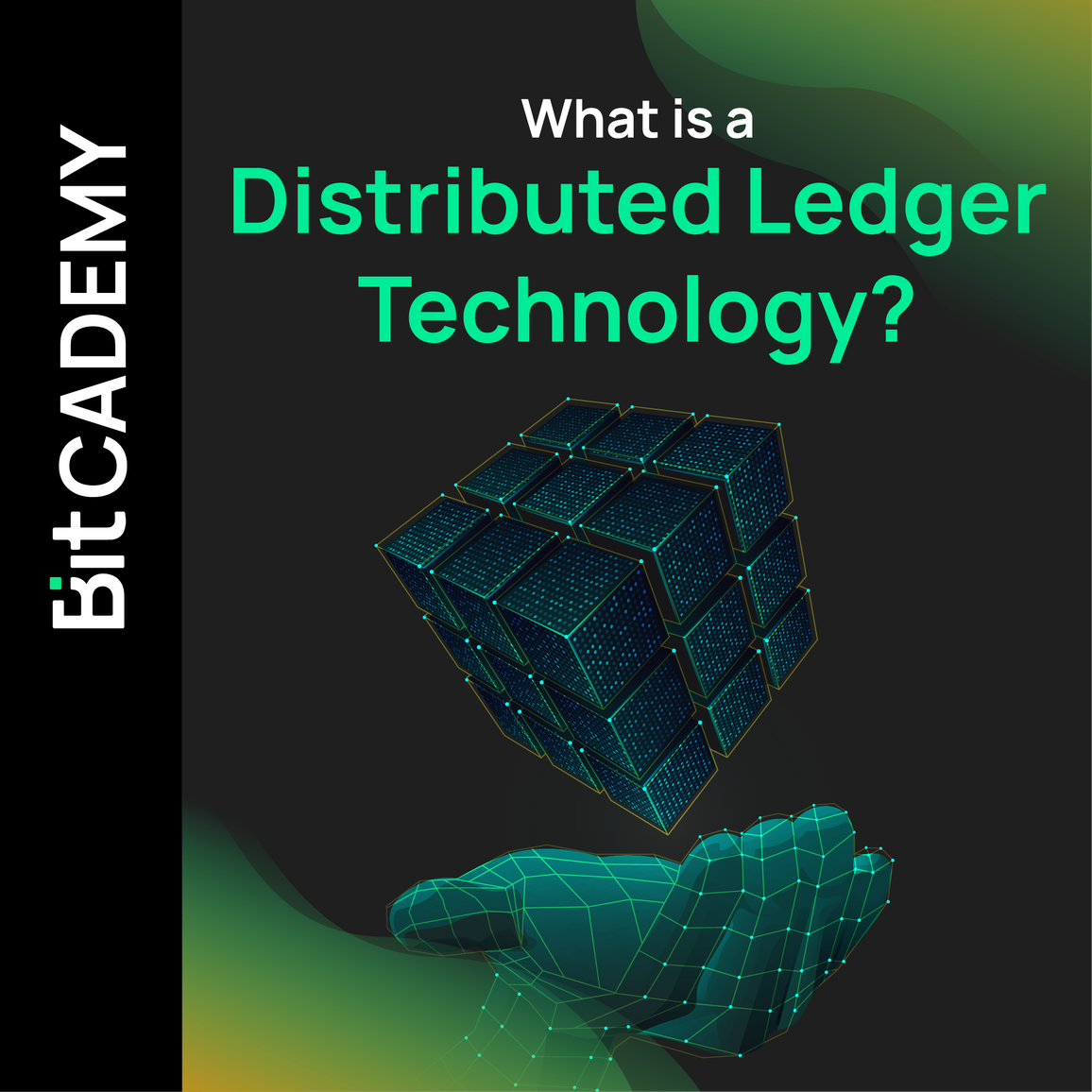 What is a Distributed Ledger Technology?