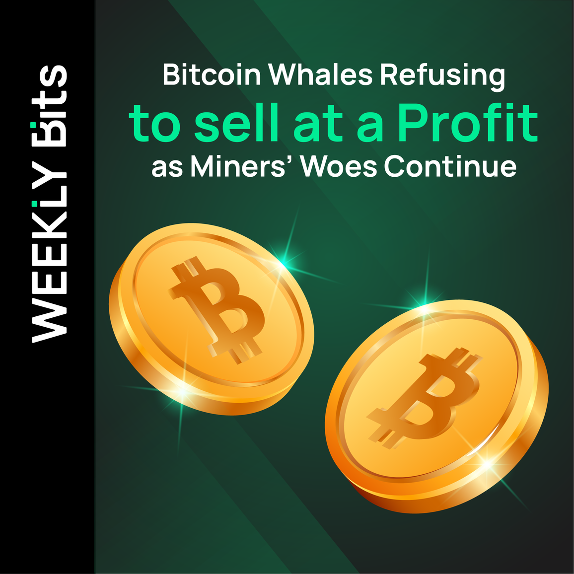 Bitcoin Whales Refusing to Sell at a Profit as Miners’ Woes Continue