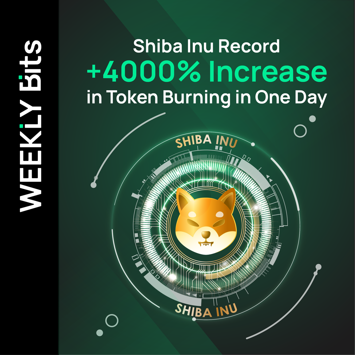 Shiba Inu Record +4000% Increase in Token Burning in One Day
