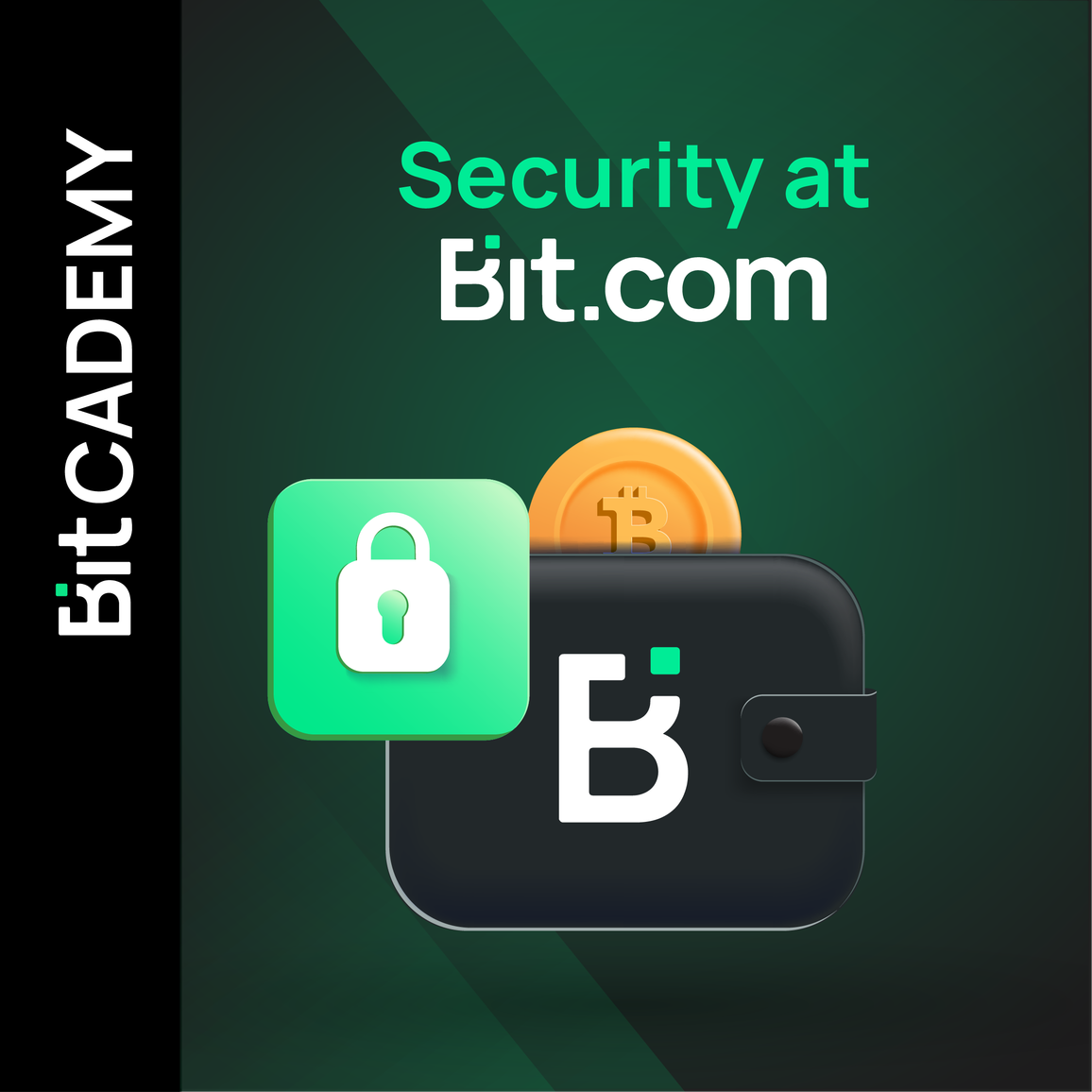 SECURITY AT BIT.COM