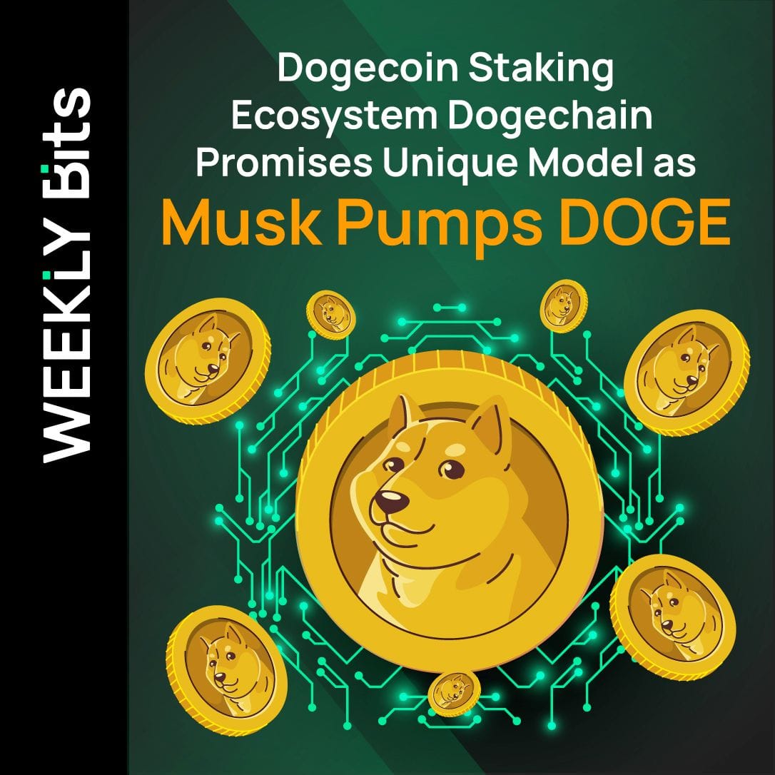 Dogecoin Staking Ecosystem Dogechain Promises Unique Model as Musk Pumps DOGE