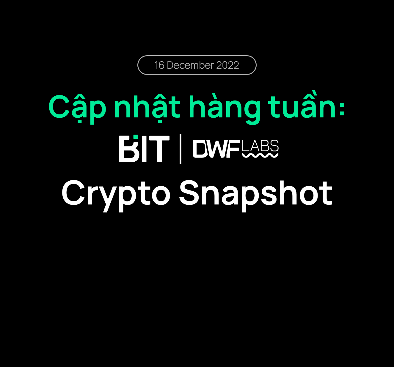 Cập nhật hàng tuần: Crypto Snapshot