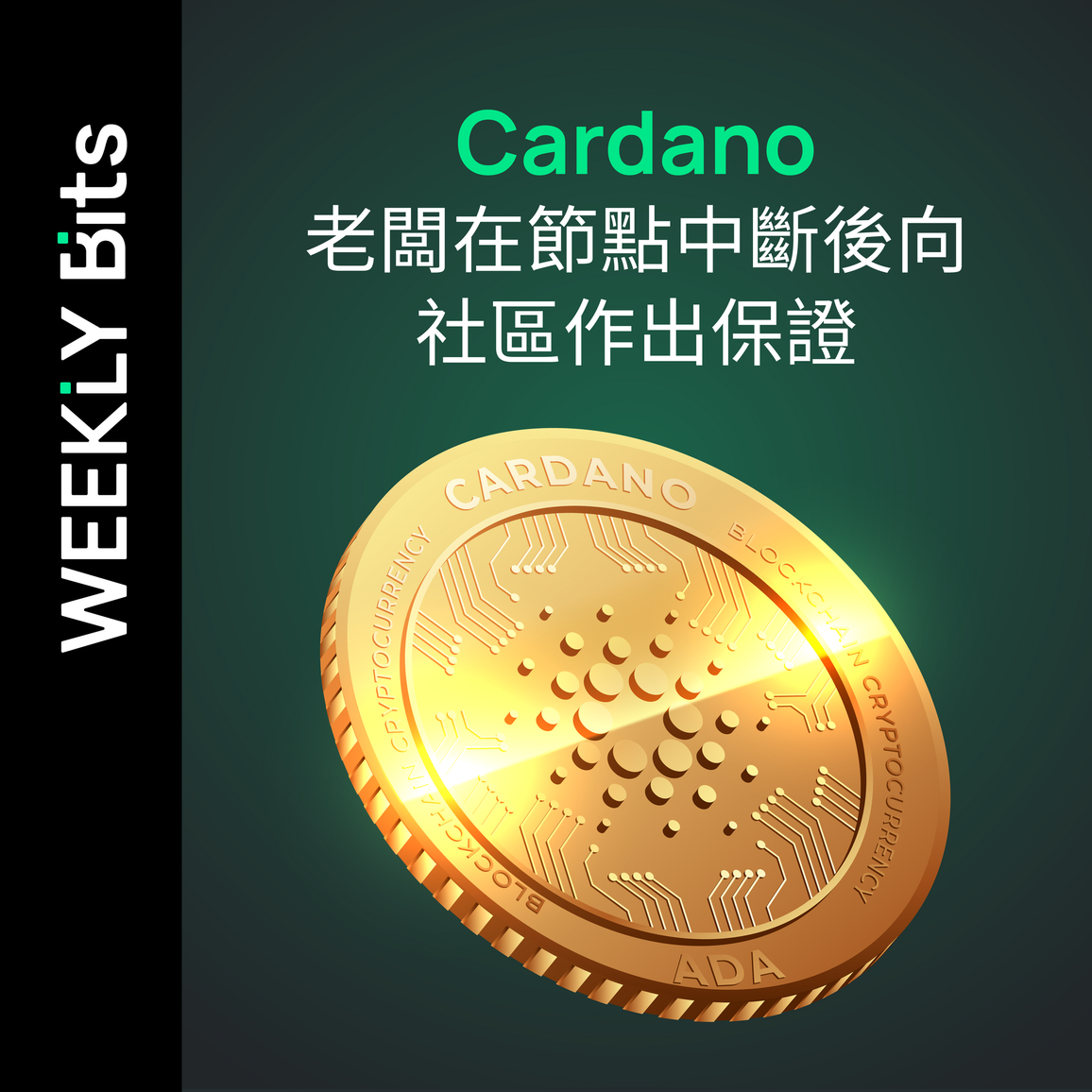 Cardano 老闆在節點中斷後向社區作出保證