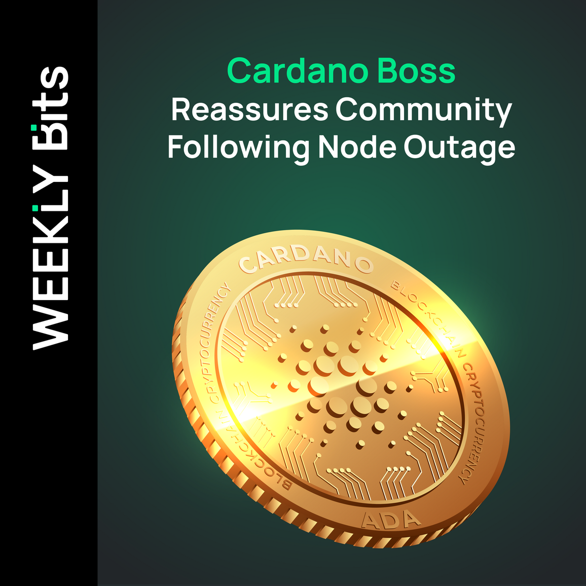 Cardano Boss Reassures Community Following Node Outage