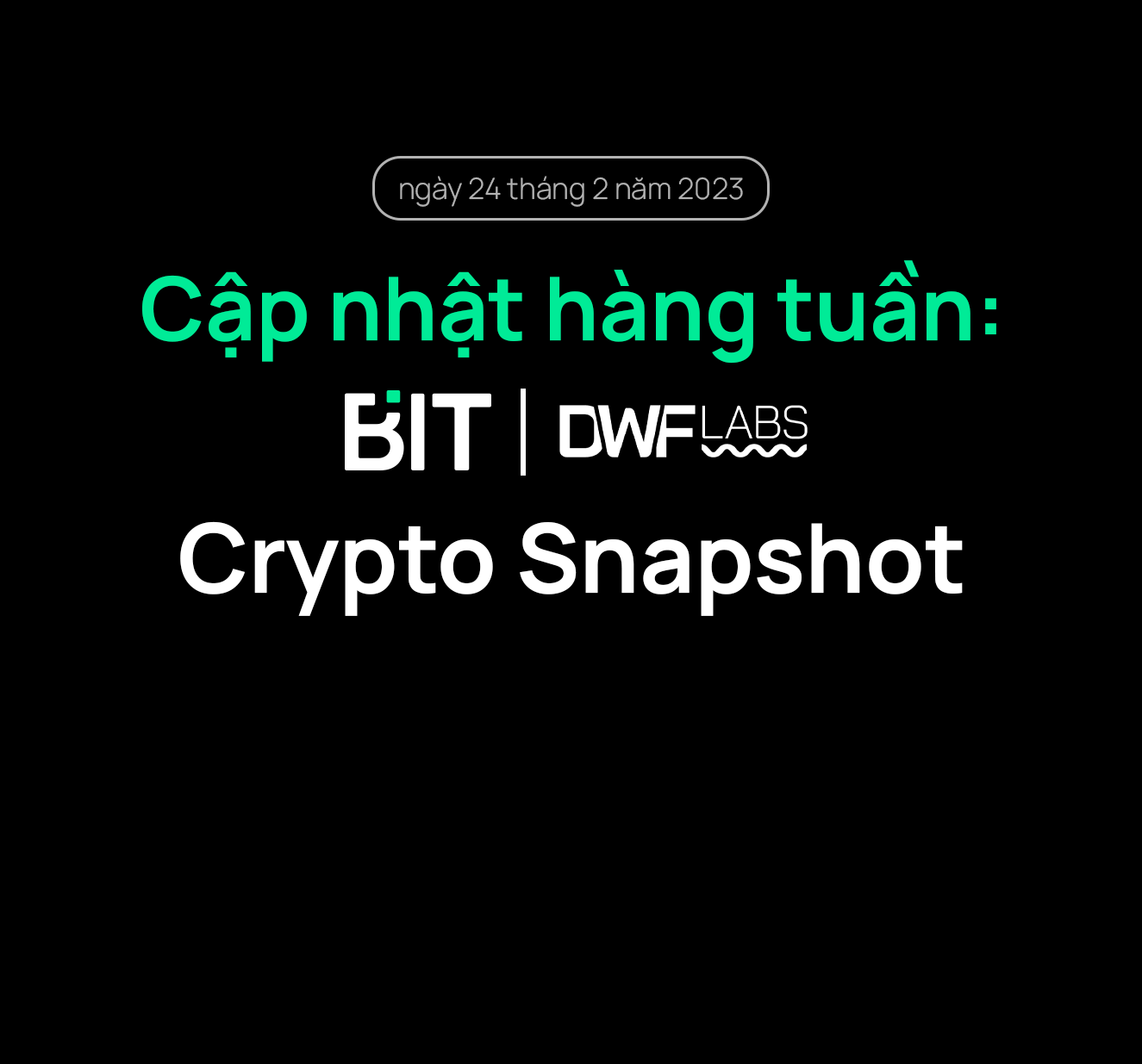 Cập nhật hàng tuần: Crypto Snapshot
