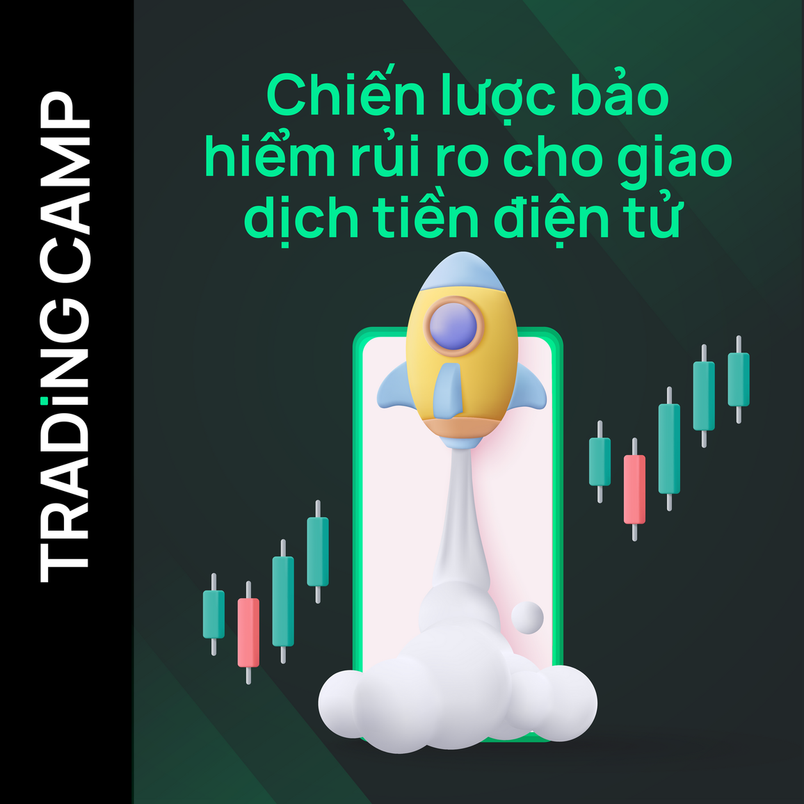Chiến lược bảo hiểm rủi ro cho giao dịch tiền điện tử | BIT