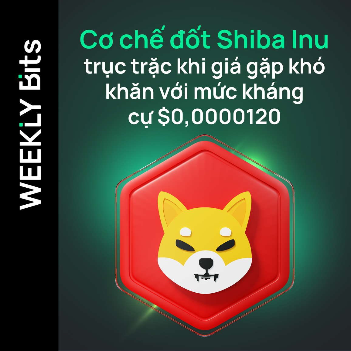 Cơ chế đốt Shiba Inu trục trặc khi giá gặp khó khăn với mức kháng cự $0,0000120
