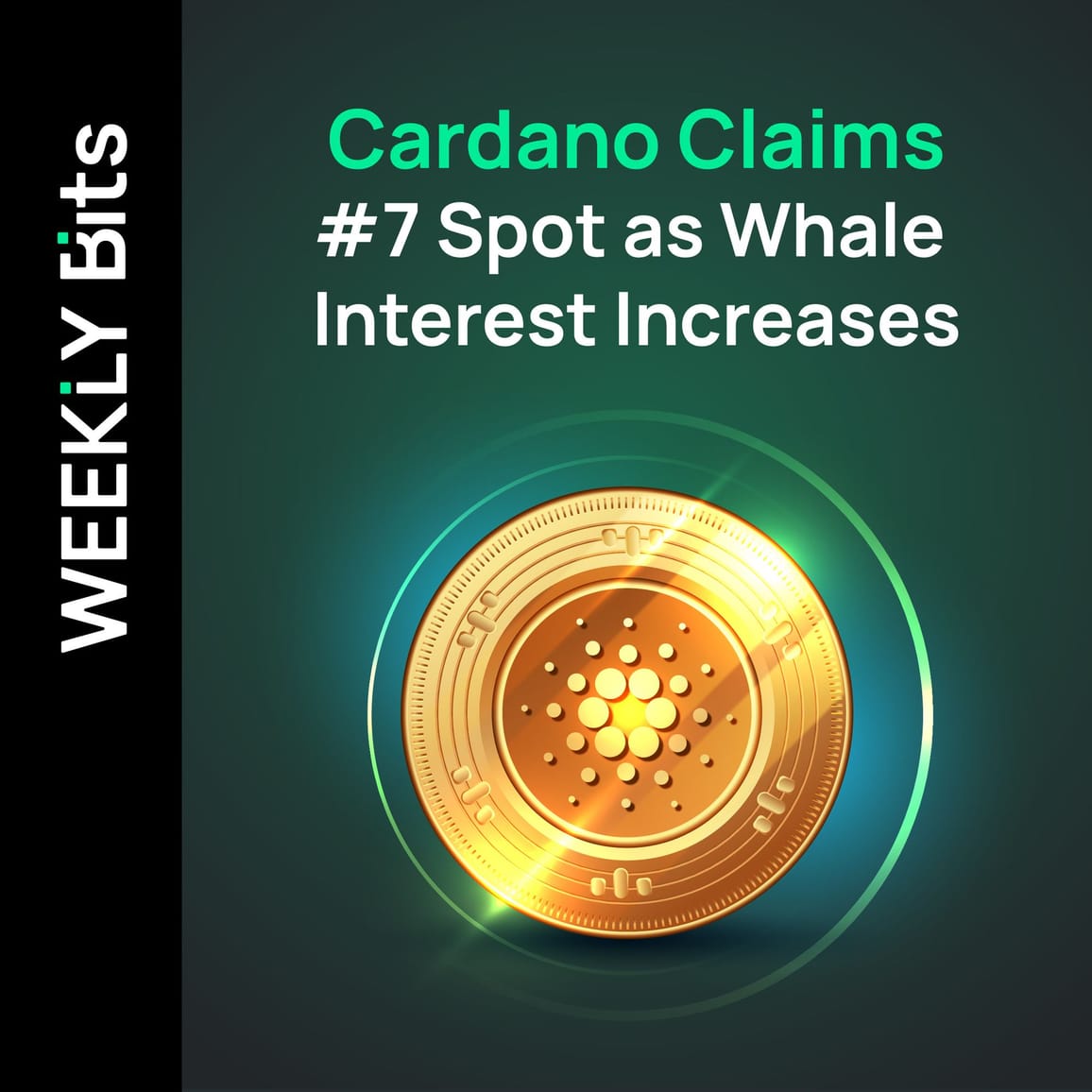 Cardano Claims #7 Spot as Whale Interest Increases