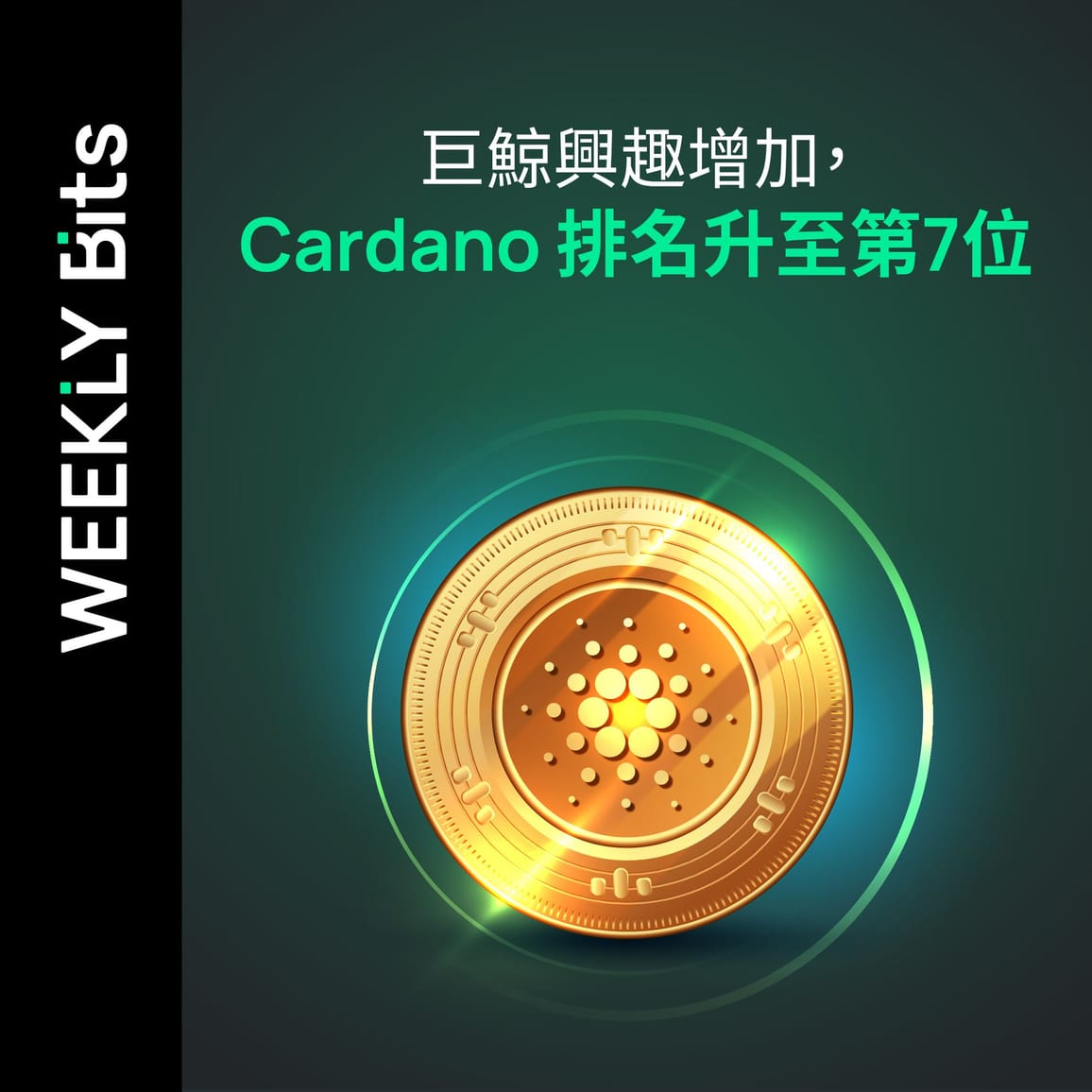 巨鯨興趣增加，Cardano 排名升至第 7 位