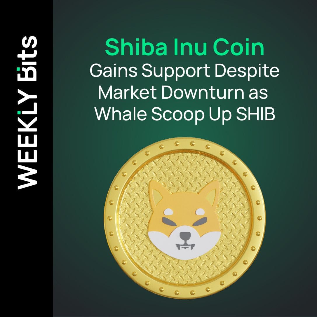 Shiba Inu Coin Gains Support Despite Market Downturn as Whale Scoop Up SHIB
