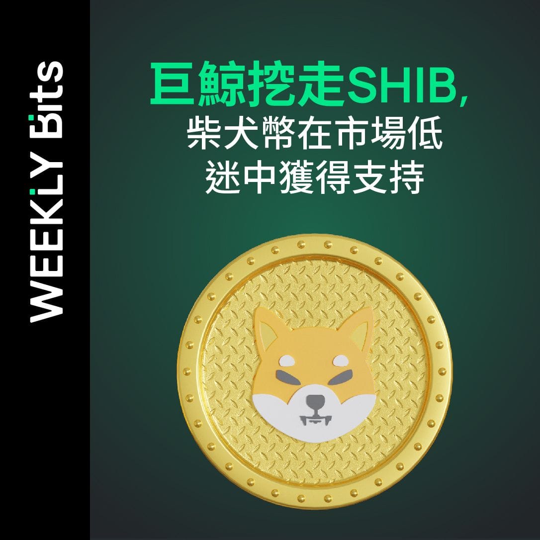 巨鯨挖走SHIB，柴犬幣在市場低迷中獲得支持