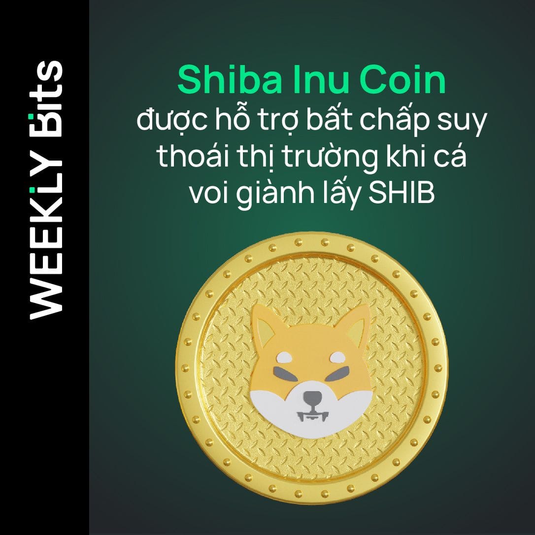 Shiba Inu Coin được hỗ trợ bất chấp suy thoái thị trường khi cá voi giành lấy SHIB