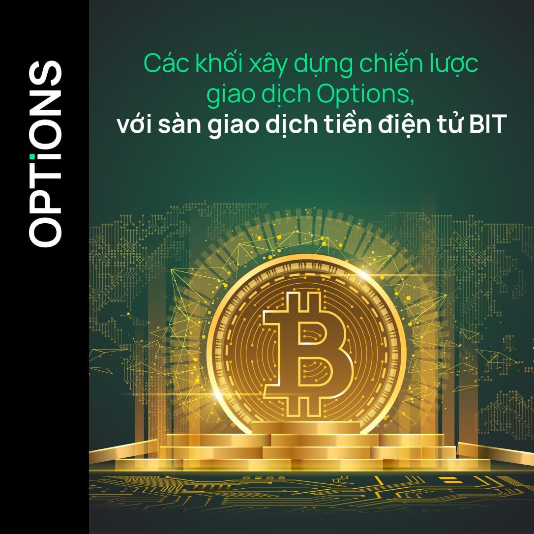 Các khối xây dựng chiến lược giao dịch Options, với sàn giao dịch tiền điện tử BIT
