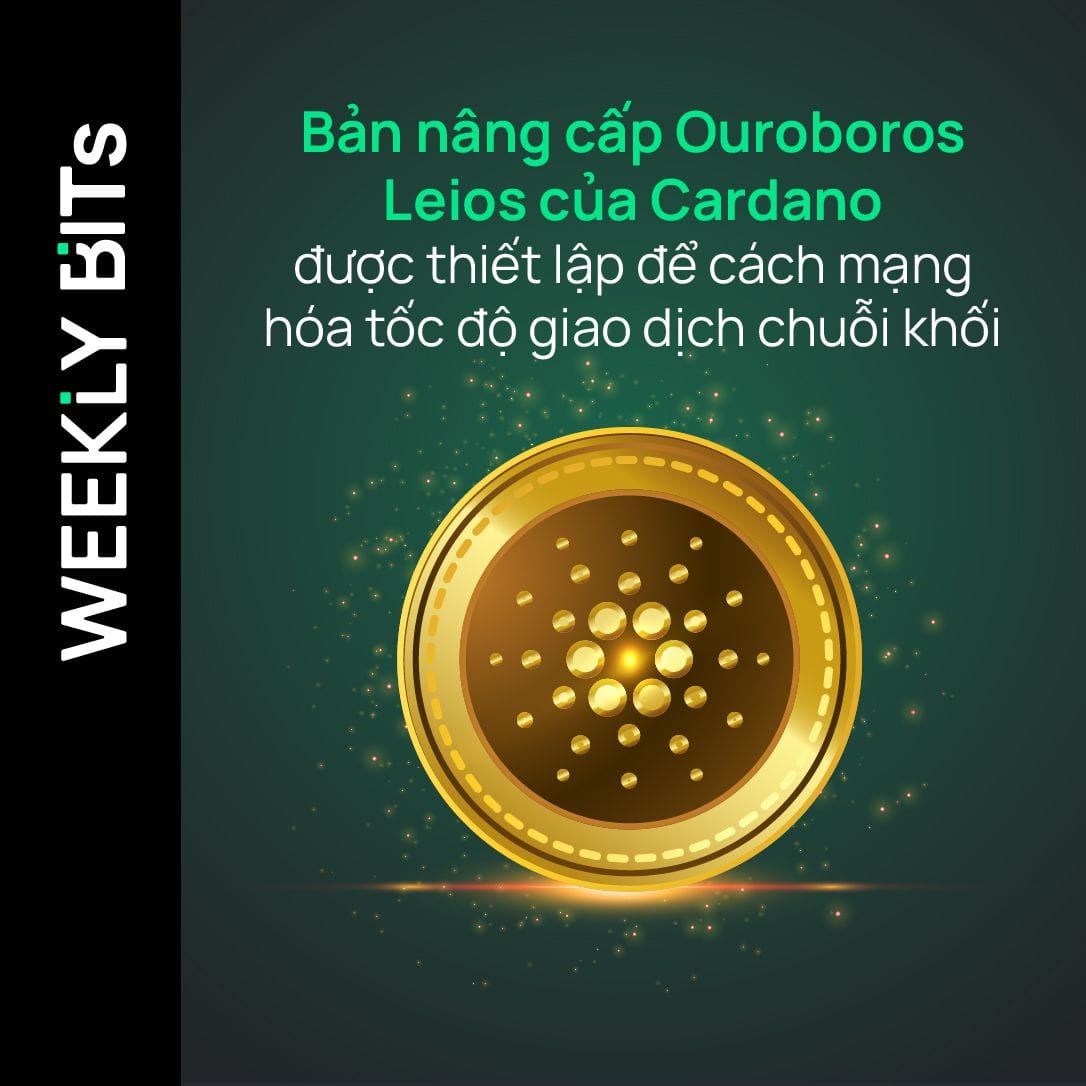 Bản nâng cấp Ouroboros Leios của Cardano được thiết lập để cách mạng hóa tốc độ giao dịch chuỗi khối