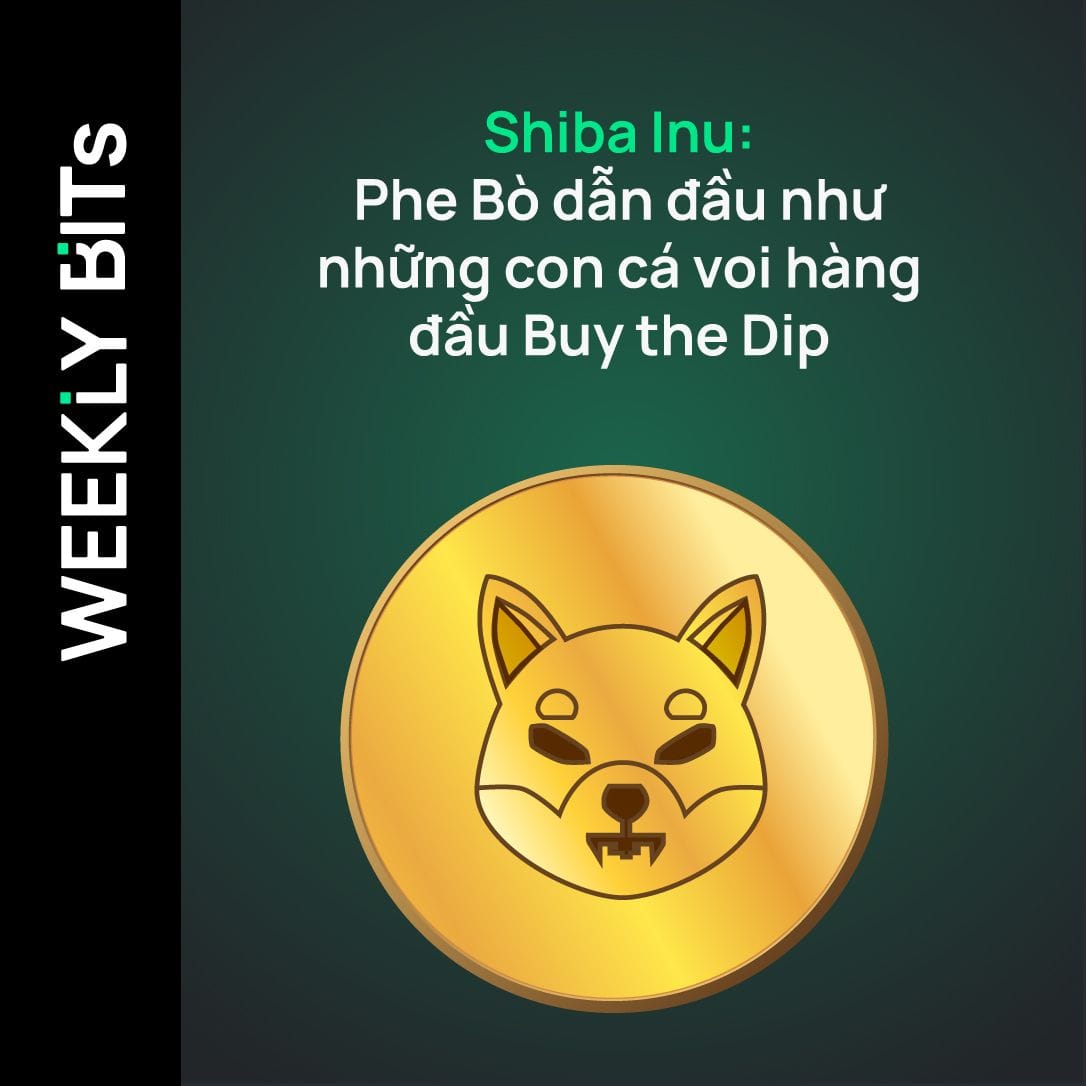 Shiba Inu: Phe Bò dẫn đầu như những con cá voi hàng đầu Buy the Dip