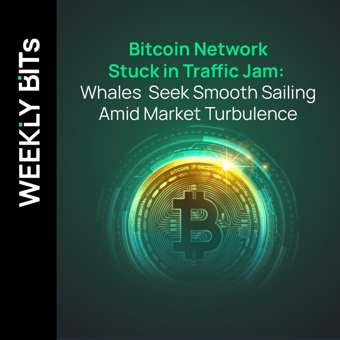 Bitcoin Network Stuck in Traffic Jam: Whales Seek Smooth Sailing Amid Market Turbulence