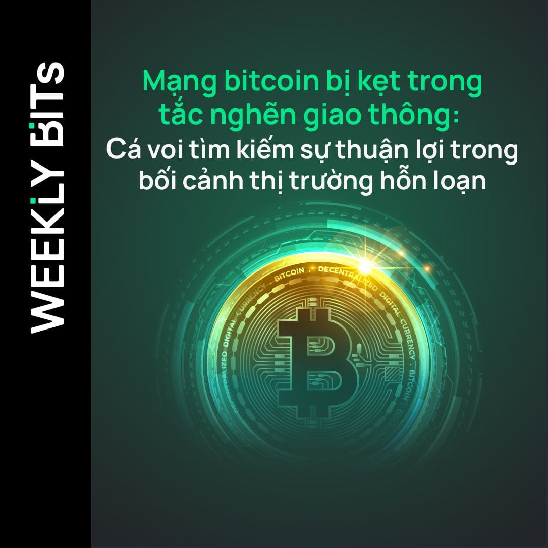 Mạng bitcoin bị kẹt trong tắc nghẽn giao thông: Cá voi tìm kiếm sự thuận lợi trong bối cảnh thị trường hỗn loạn
