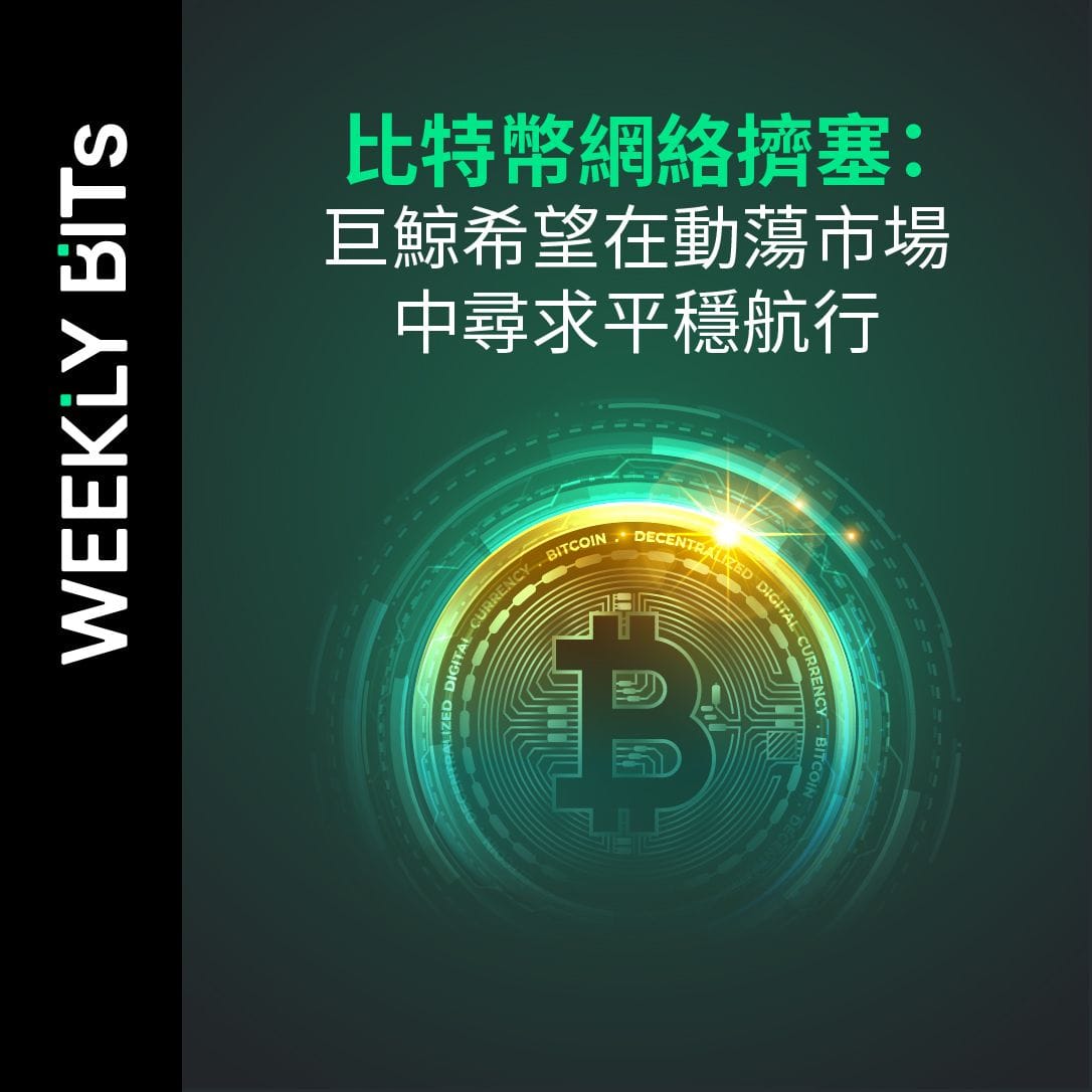 比特幣網絡擠塞：巨鯨希望在動蕩市場中尋求平穩航行