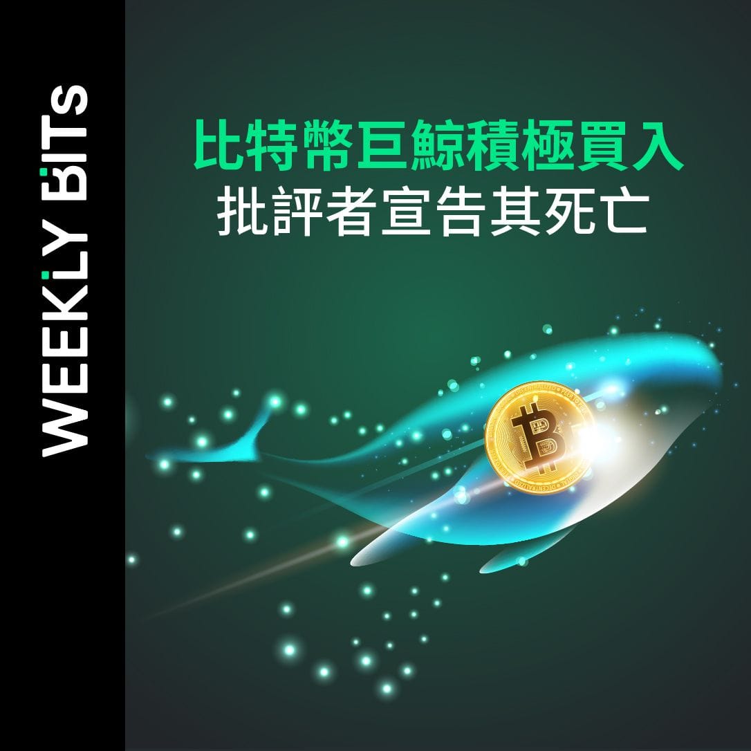 比特幣巨鯨積極買入；批評者宣告其死亡