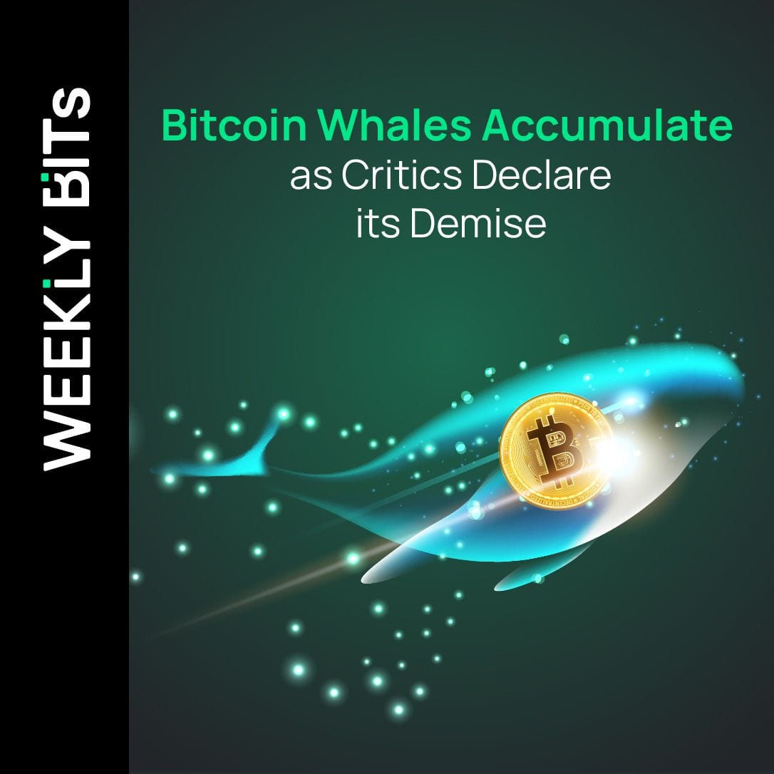 Bitcoin Whales Accumulate as Critics Declare its Demise