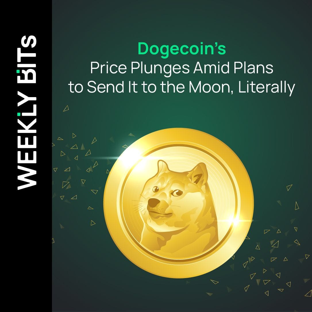 Dogecoin's Price Plunges Amid Plans to Send It to the Moon, Literally