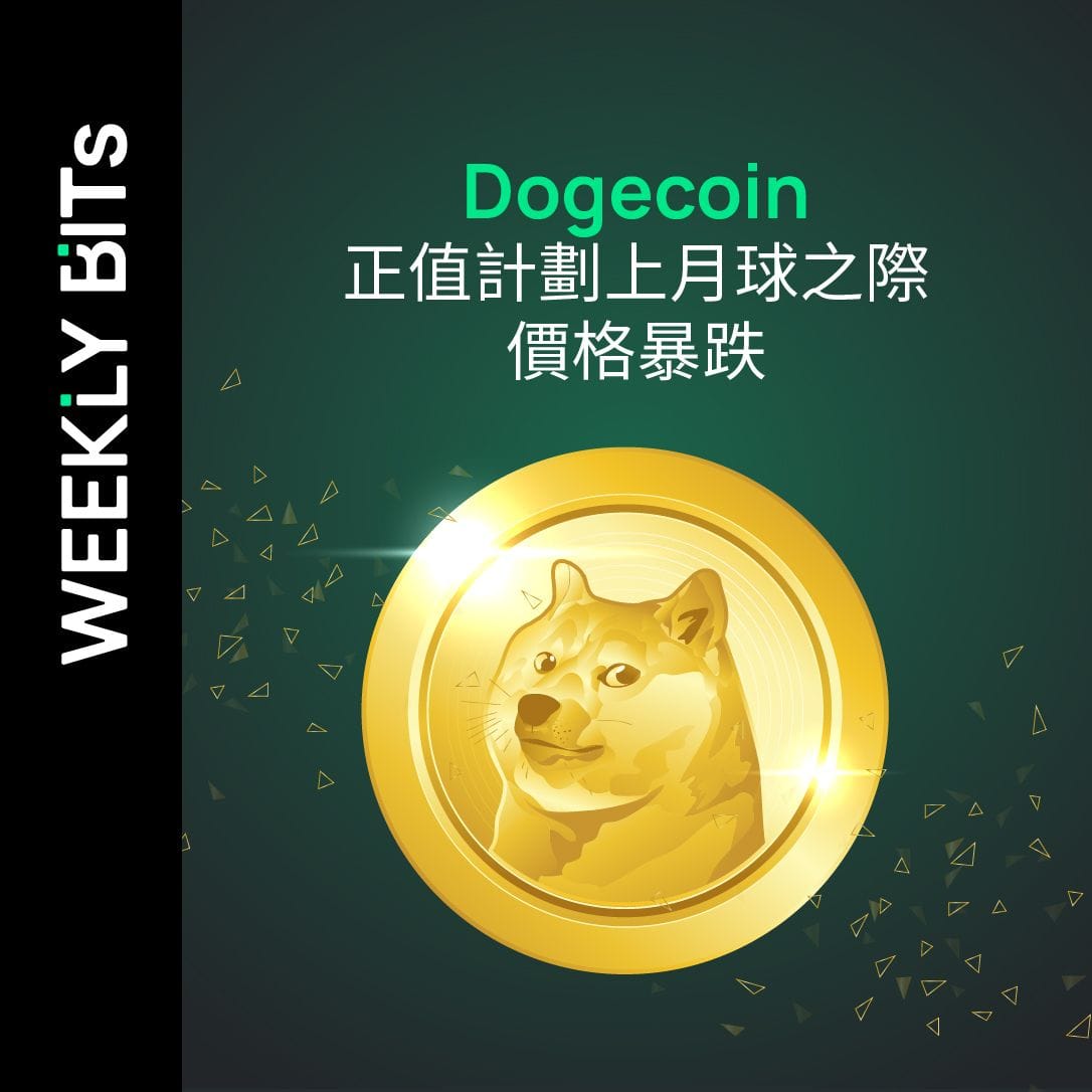 DOGECOIN正值計劃上月球之際 價格暴跌