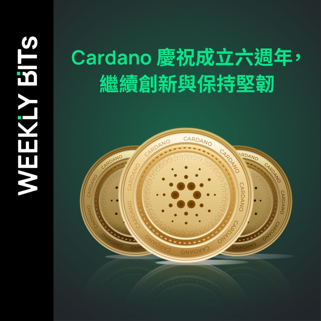 Cardano 慶祝成立六週年，繼續創新與保持堅韌