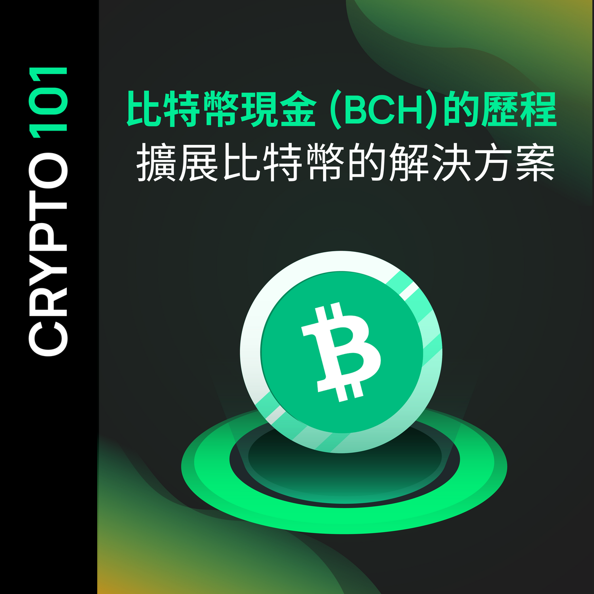 比特幣現金 (BCH) 的歷程  擴展比特幣的解決方案