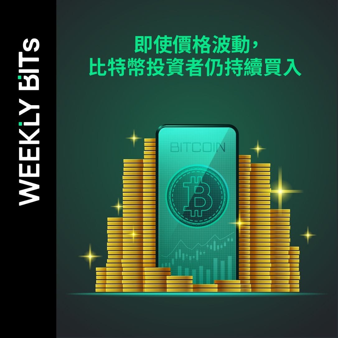 即使價格波動，比特幣投資者仍持續買入