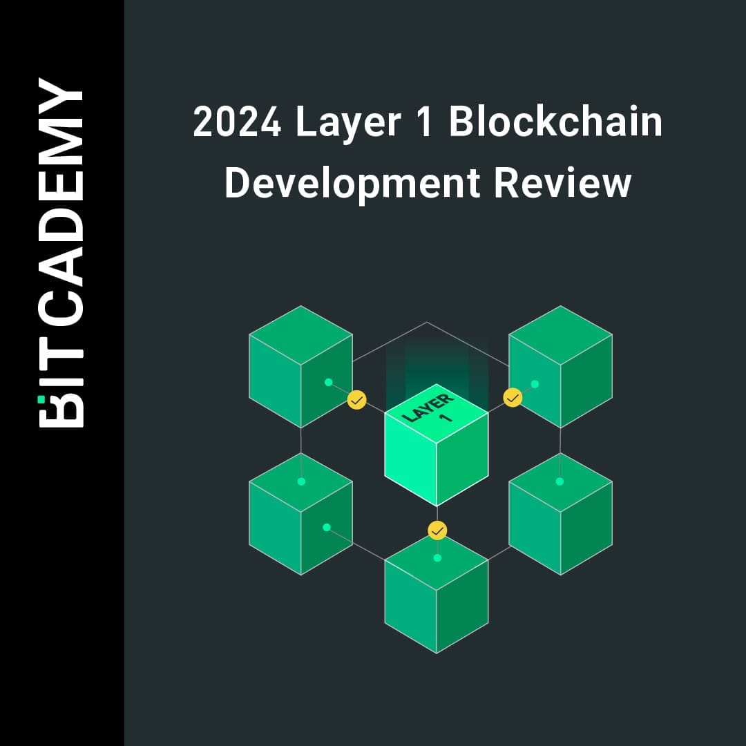 2024 Layer 1 Blockchain Development Review