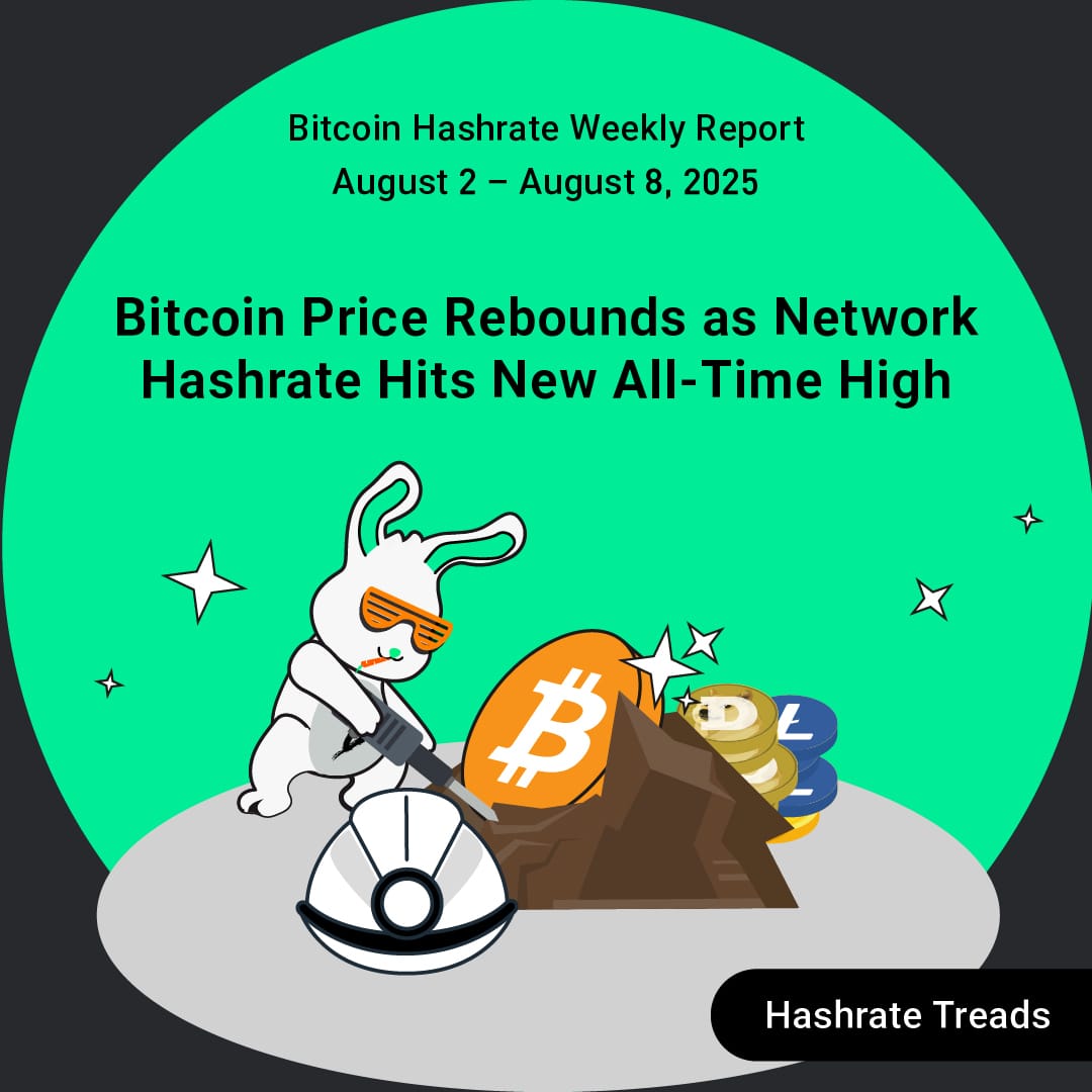 Bitcoin Price Rebounds as Network Hashrate Hits All-Time High