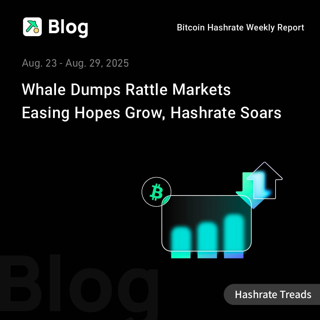 Bitcoin Hashrate Market Weekly Report (August 23–29, 2025)