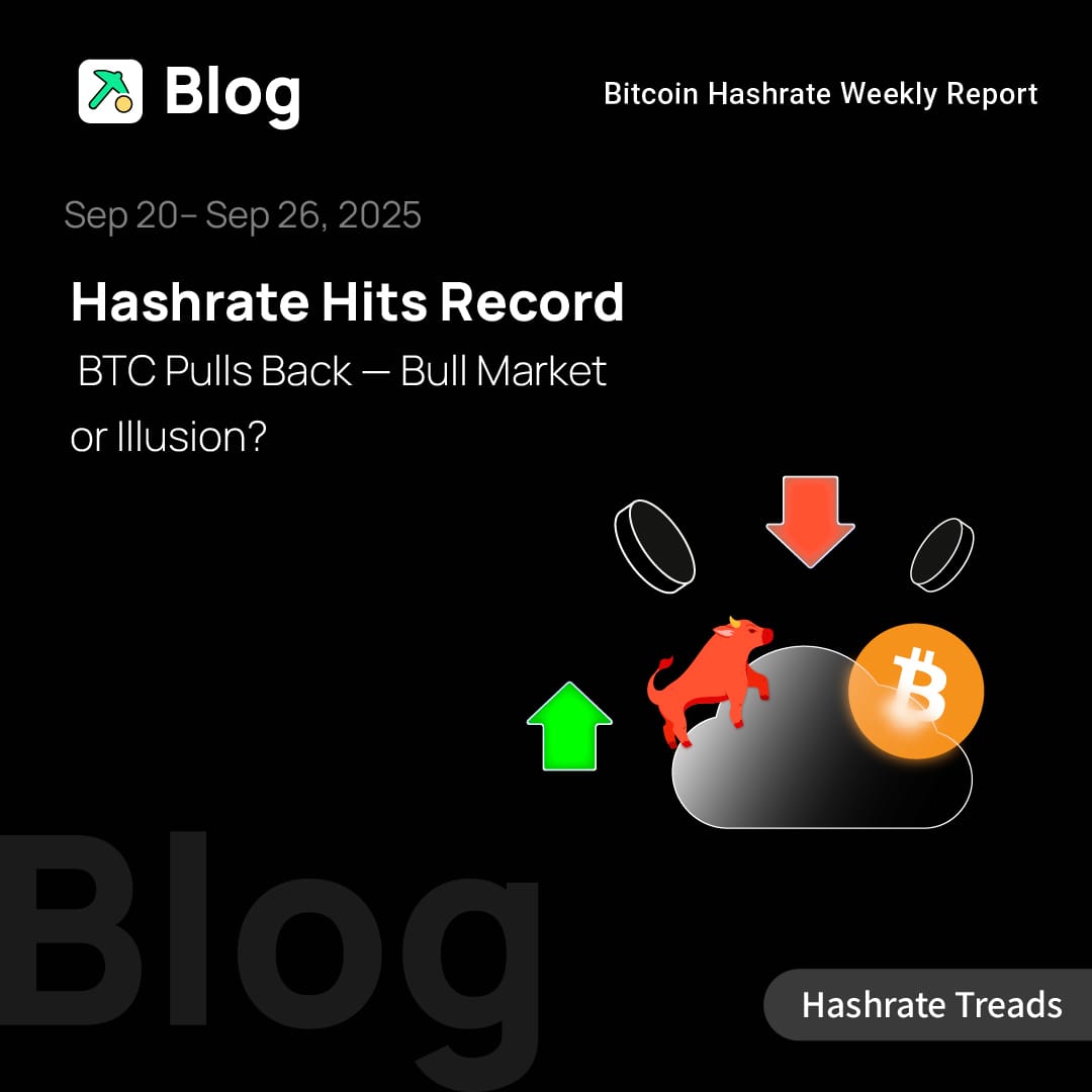 Hashrate Hits Record, BTC Pulls Back — Bull Market or Illusion?