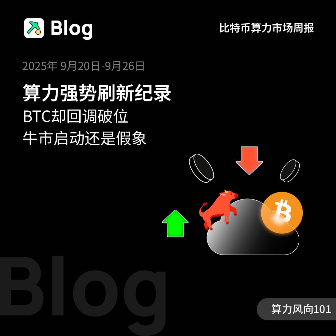 算力强势刷新纪录，BTC却回调破位，牛市启动还是假象？