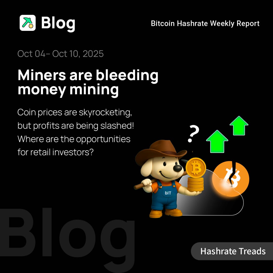 Miners "Bleeding" to Mine: Price Soars, Yet Revenue is Halved! Where are the Opportunities for Retail Miners?
