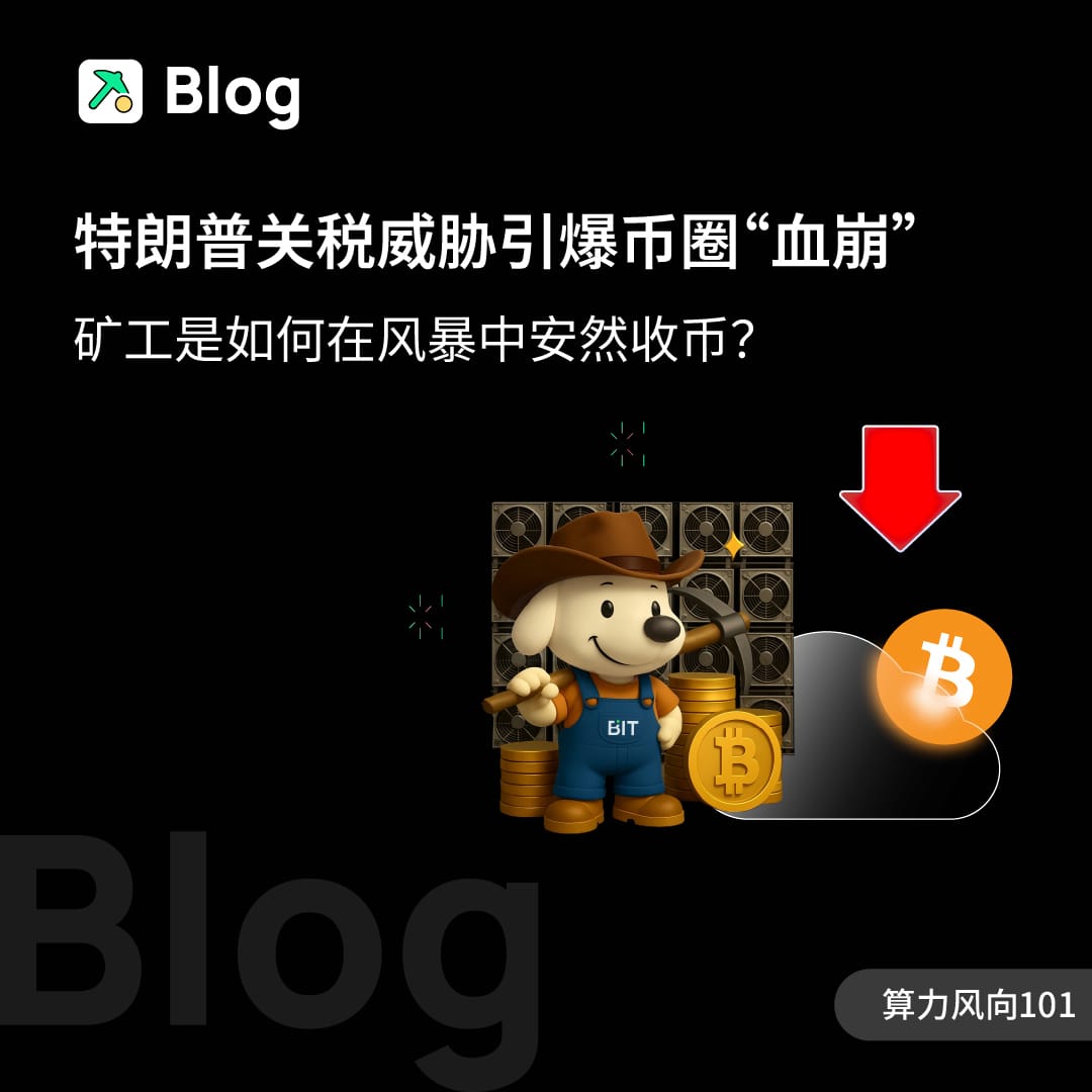 特朗普关税威胁引爆币圈“血崩”：矿工是如何在风暴中安然收币？
